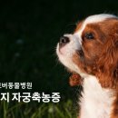 송도 클로버동물병원 이미지