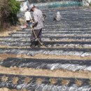 형제농장-2 이미지