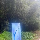 서울자유발도르프학교 | 잇다자유발도르프학교 입학설명회 후기