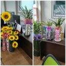 신경남공인중개사사무소 이미지