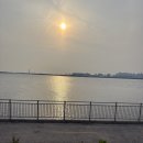 풍차조개구이 | 오이도 횟집 추천 풍차횟집 오션뷰와 푸짐한 활어회까지 만족한 후기