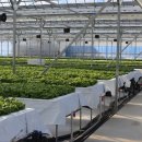 무주농장 이미지