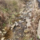 대지농장 이미지