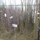 진철농장 이미지