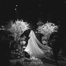 스타인호텔 이미지