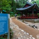 무릉선원 이미지