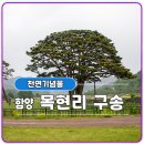 목현리 이미지