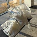 행복한지짐이 | [쌍둥이임신]23주차 일상기록/행복한병원 정밀초음파,베이비페어방문,님블아기띠구입