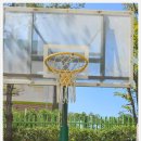 서석중고등학교 이미지