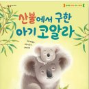 코알라숲 네이버블로그