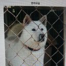 대산실업