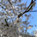 우성 태권도장 이미지