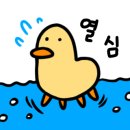 윤스터디