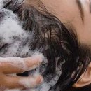 대전롯데 헤드 이미지