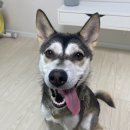 원천농장 | [육아 일기] 암울했을지도 모르는 과거는 배움의 원천