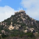 황매산 벚꽃길 이미지