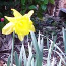 행복한 멍이세상 이미지