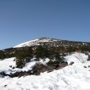 2009.2.7~8 제주도 한라산 등반 과정과 그 기록들 아름다운제주...... 이미지