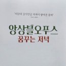 앙상블 오푸스의 꿈꾸는 저녁 이미지