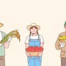 행정사법인 느티나무 슬로우 뉴스