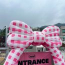 까꿍펫살롱 | 서울근교 남양주 애견카페 미앤마이독스