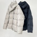 사이브로 이미지