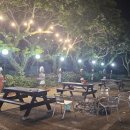 표선면 동산식당 이미지