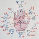 (3탄)가슴쪼임증상치료3/자가치료/수지침