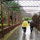 주식회사 황룡 이미지