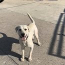 다감농장 이미지