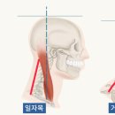 광교더바른한의원 이미지