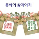 구약의 예언서와 선지자들 이미지