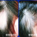 큐사랑전문샵