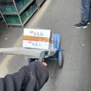 파티마내과의원 이미지