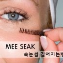 미색단장 이미지