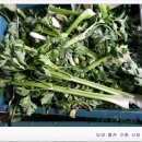 월천농장 이미지