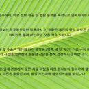 강서김치과의원 네이버블로그