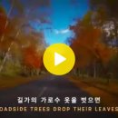 박인희, The Endless Road 끝이 없는 길 이미지