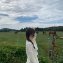 모도(MODO) - 송파구 | 모도(MODO)