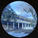 Wellness(건강한 삶)은 건강의 핵심이다 | 돈뷰 건강 웰니스 아카데미 공립 중학교 궁금증5...Donview Middle Health and Wellness Academy G6~G8)