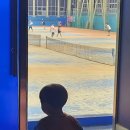 부산종합실내테니스장