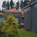 하천리-2 이미지