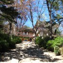 평창 상원사 중창권선문 이미지