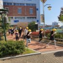 감포초등학교 이미지