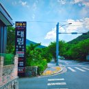 대구근교 가족나들이 프라이빗 애견동반 대림식당에서 닭도리탕 부수고 카페까지 추천
