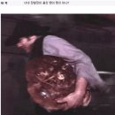 150016 | [24.01.29] 하얼빈 여행 1일차, 라오추지아(老厨家), 중앙대가(中央大街), 아시아나 OZ339