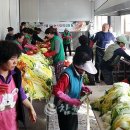 봉평면사무소 이미지