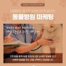 금쪽같은내새끼 동물병원 이미지