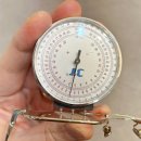 젠틀독 | 젠틀몬스터 안경 피팅과 가공의 중요성 : 부산 컨설팅 전문 /서면/해운대/사직동