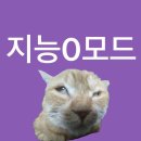 몽롱